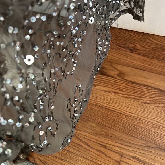 Adrianna Papell Cap Sleeve Sequin Gown Size 2 - Picture 5 of 6